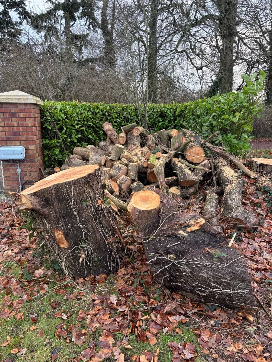 FREE!!  Logs - Image 3