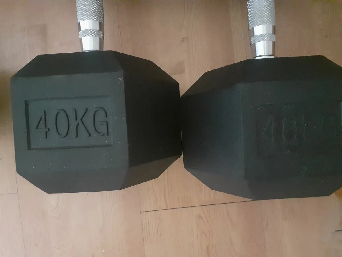 40kg Dumbbells