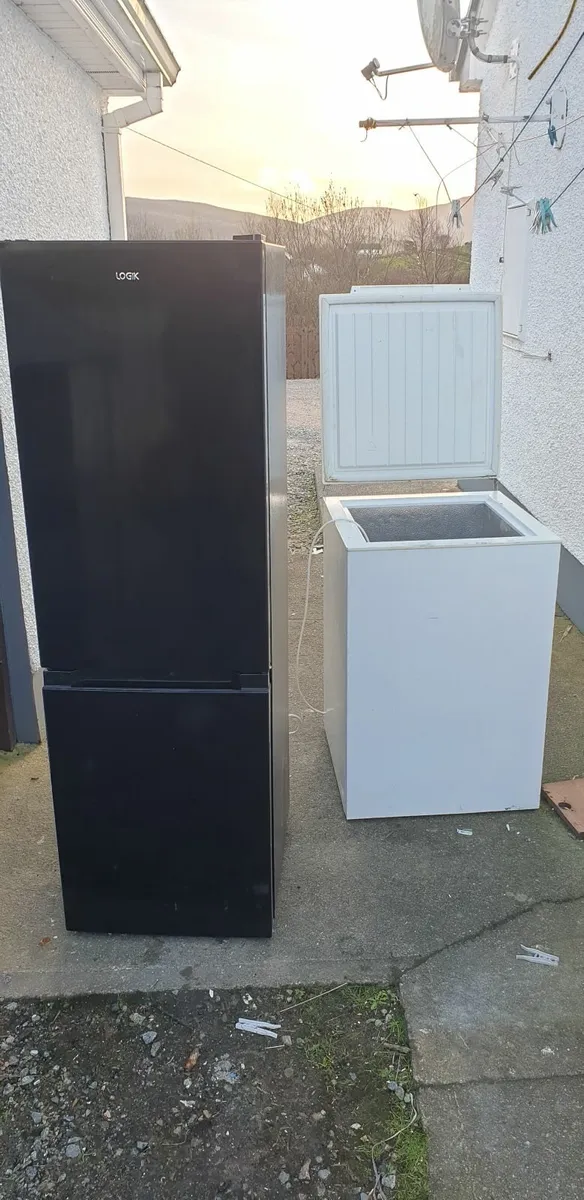 Fridge and Freezer - Image 3