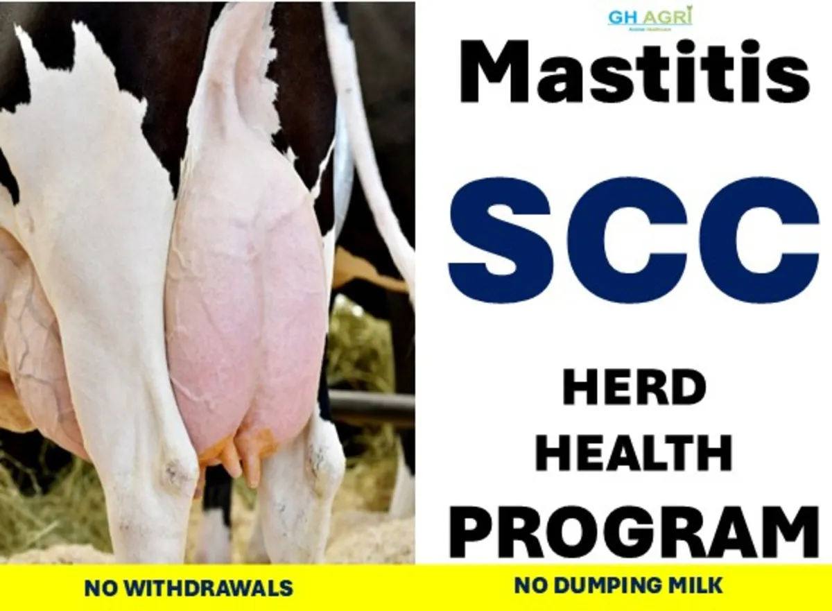 SCC Mastitis Program €14 per Cow - Image 1