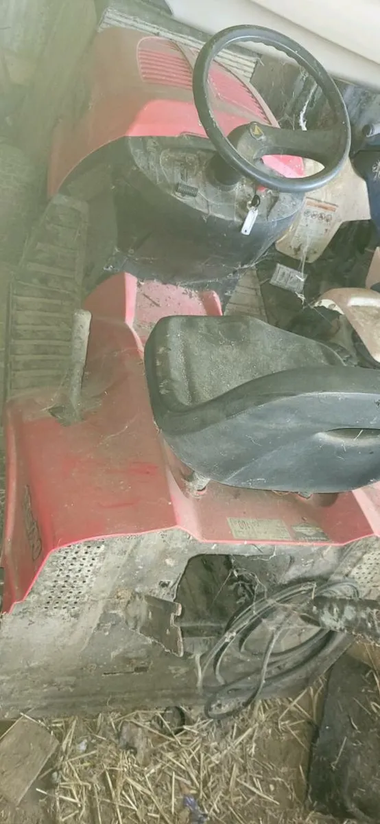 Ride on mower - Image 2