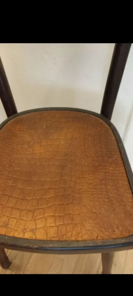 fischel bentwood bistro crocodile design chair - Image 2