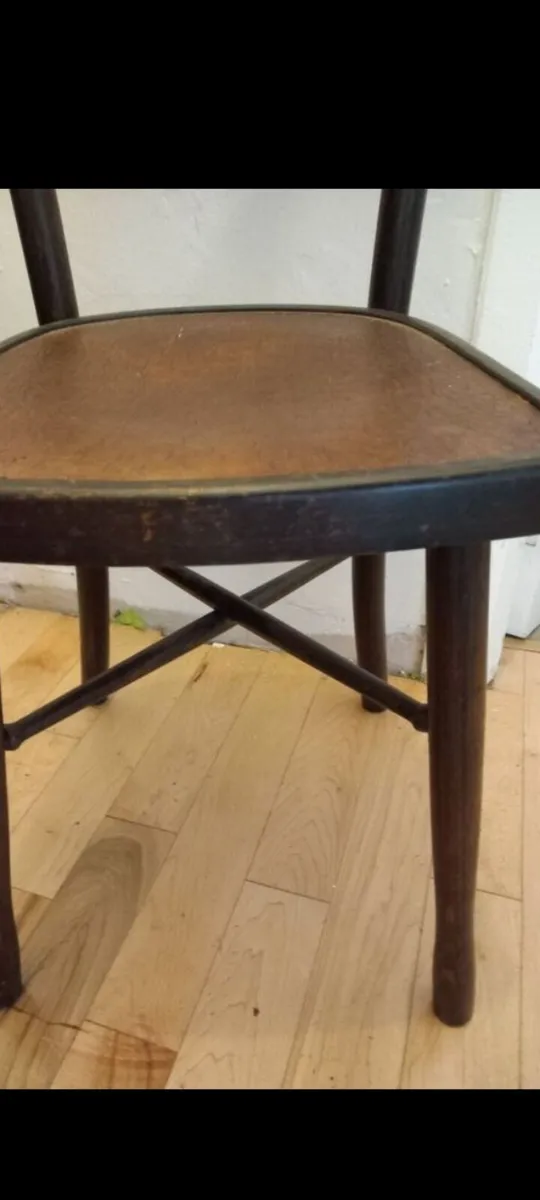 fischel bentwood bistro crocodile design chair - Image 4