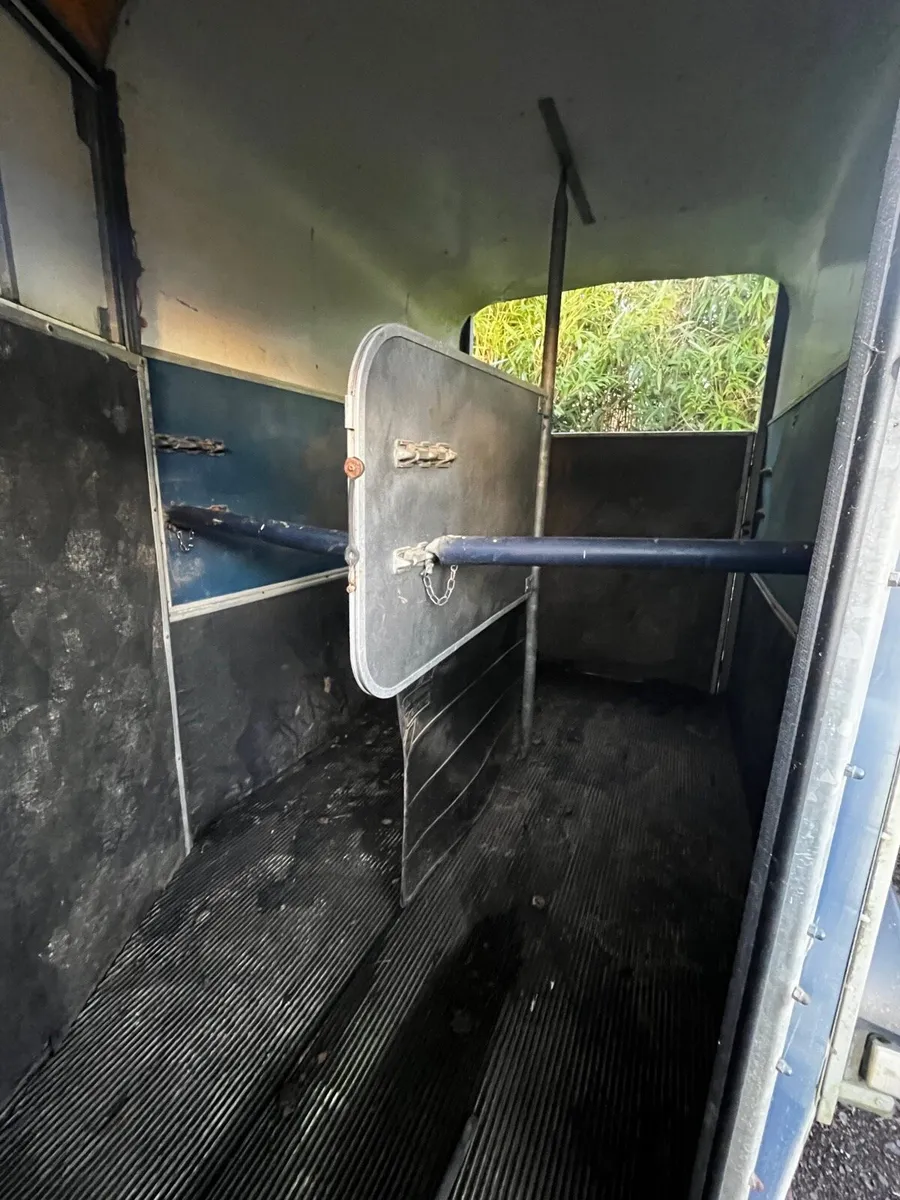 Westwood Double horsebox - Image 3