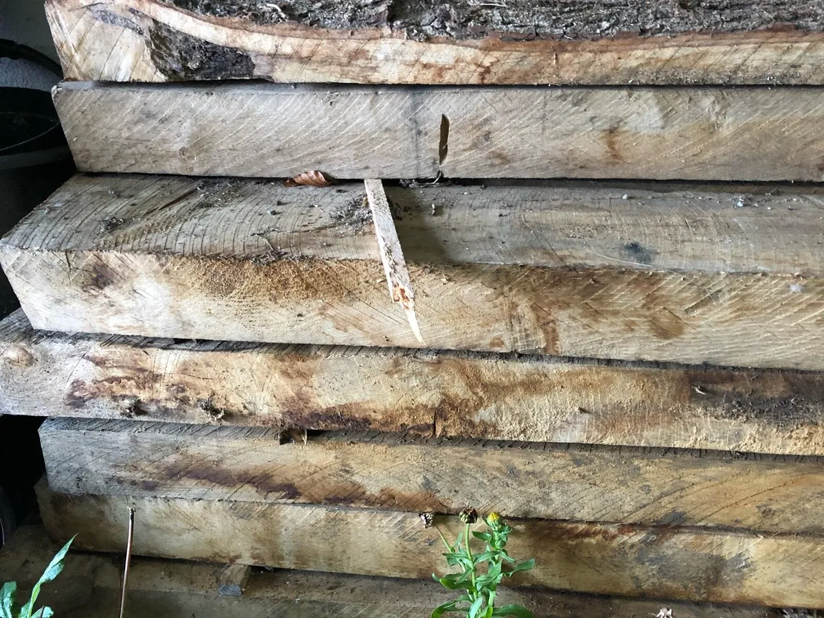 Live edge oak slabs 8” x 4” by 2meters - Image 1