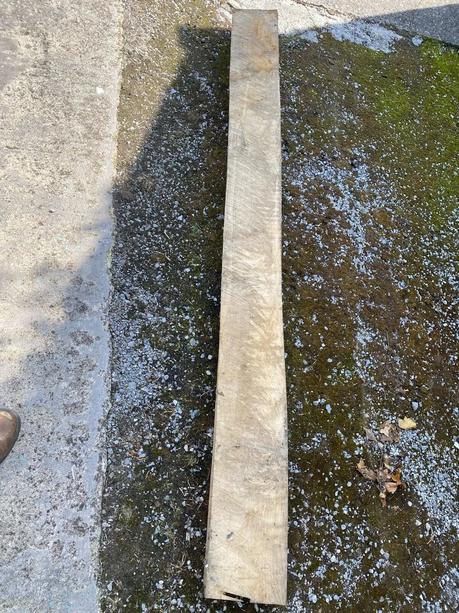 Live edge oak slabs 8” x 4” by 2meters - Image 2