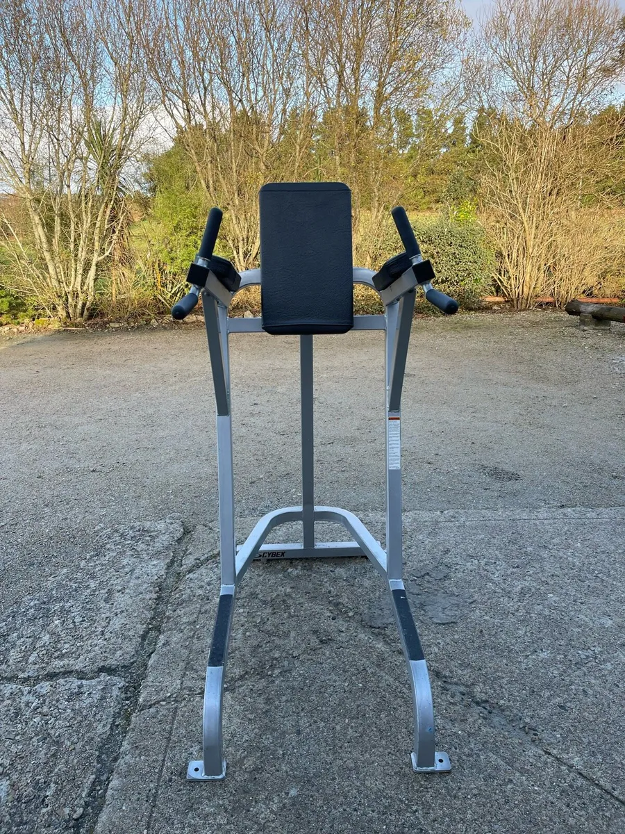 Cybex VKR Dip & Leg Raise - Image 2