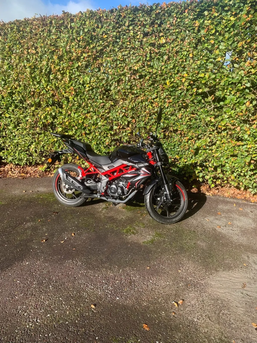 Benelli Bn125 - Image 2