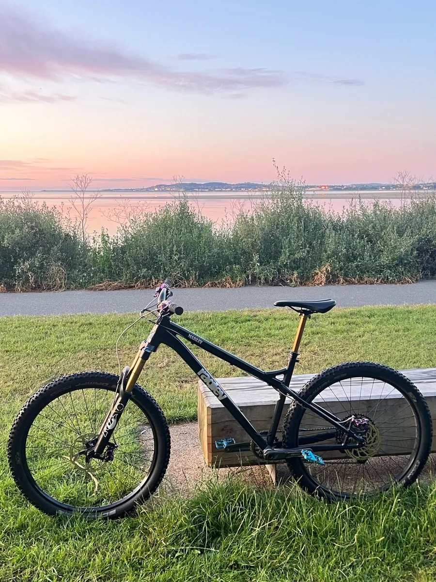 Ragley Marley frame L - Image 3