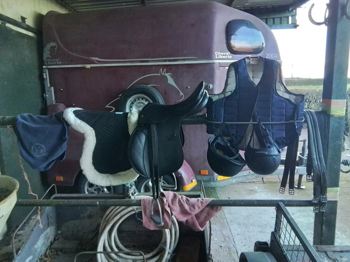 Crosby saddle package - Image 1