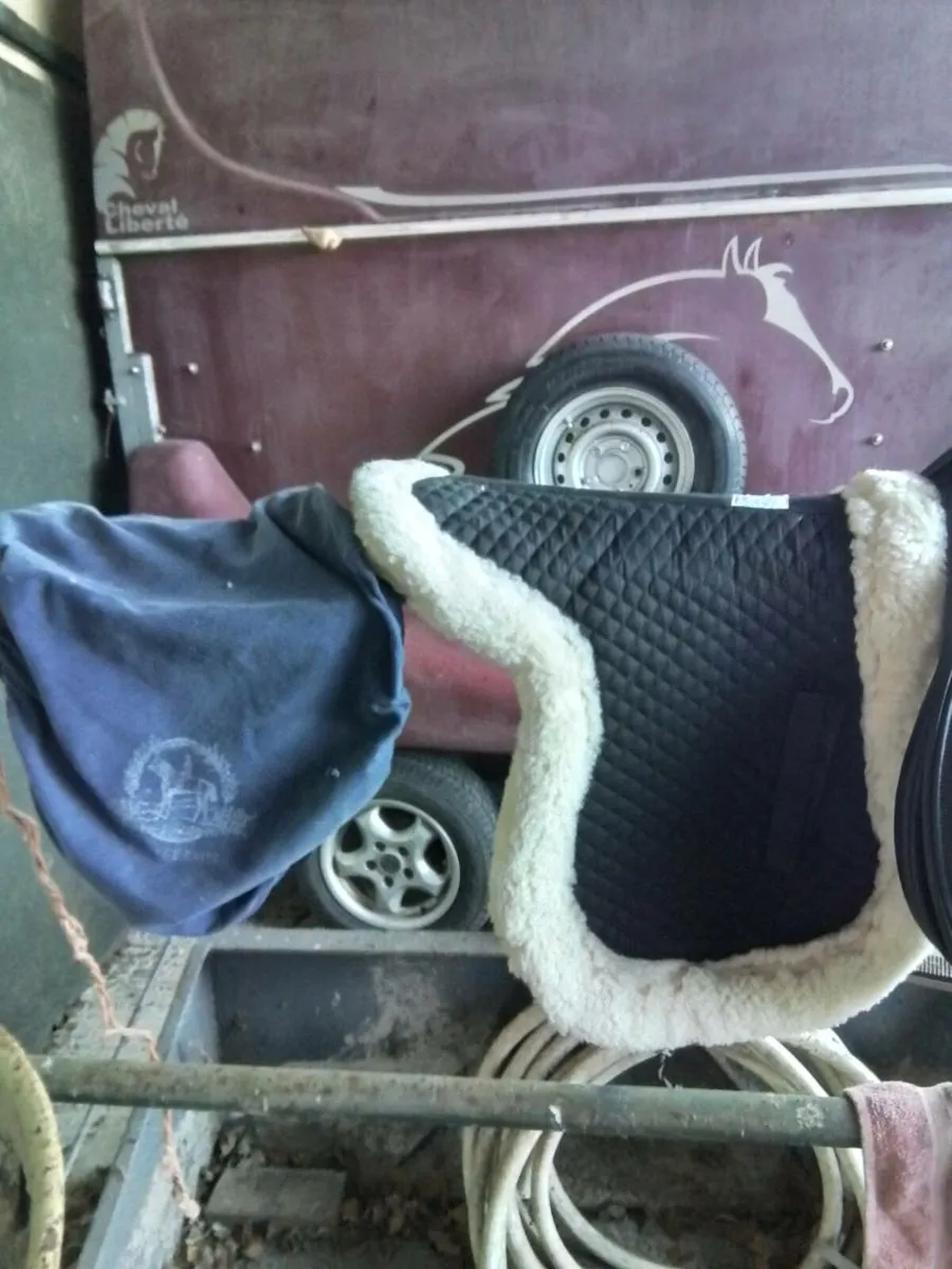 Crosby saddle package - Image 2