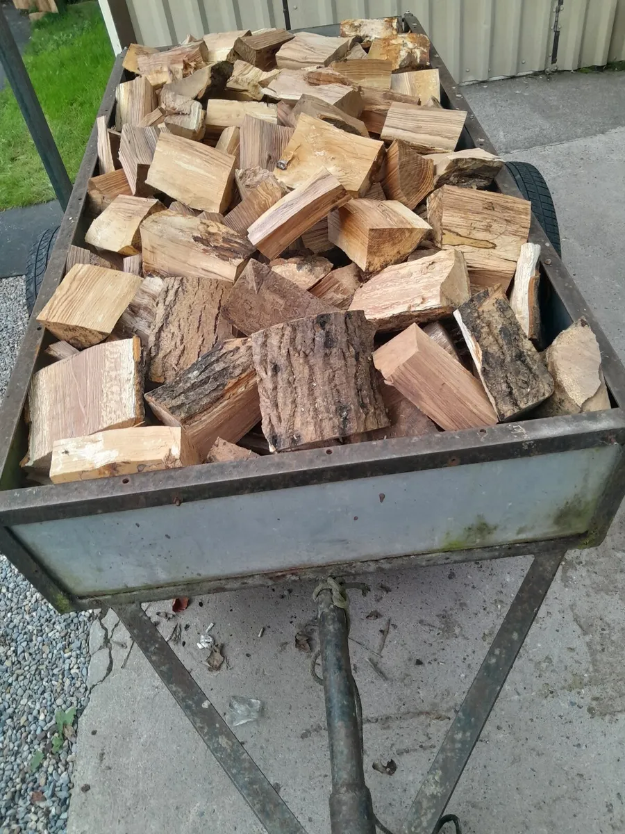 Firewood - Image 1