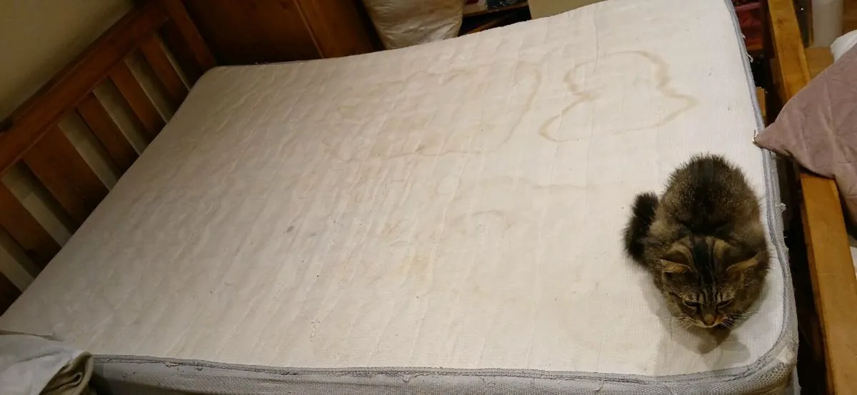 King sized mattress - Image 2