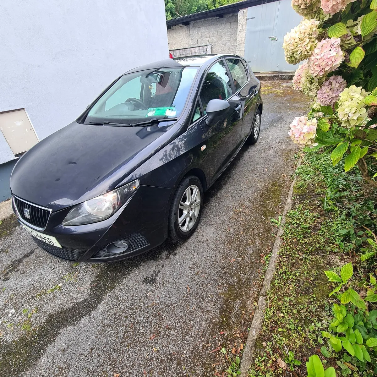 Seat ibiza new nct - Image 2