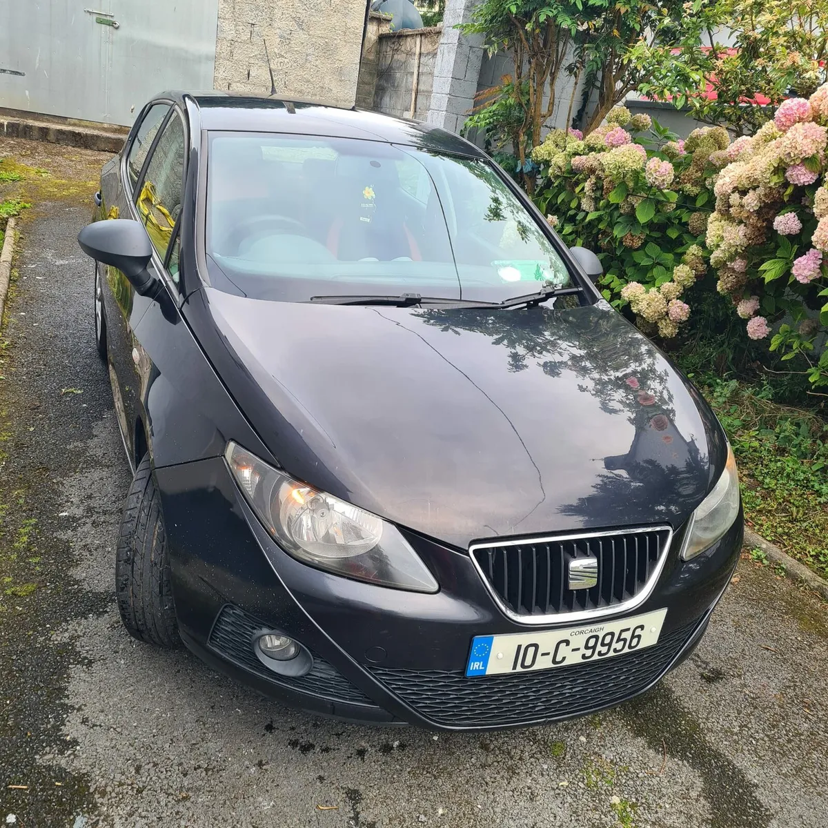 Seat ibiza new nct - Image 3