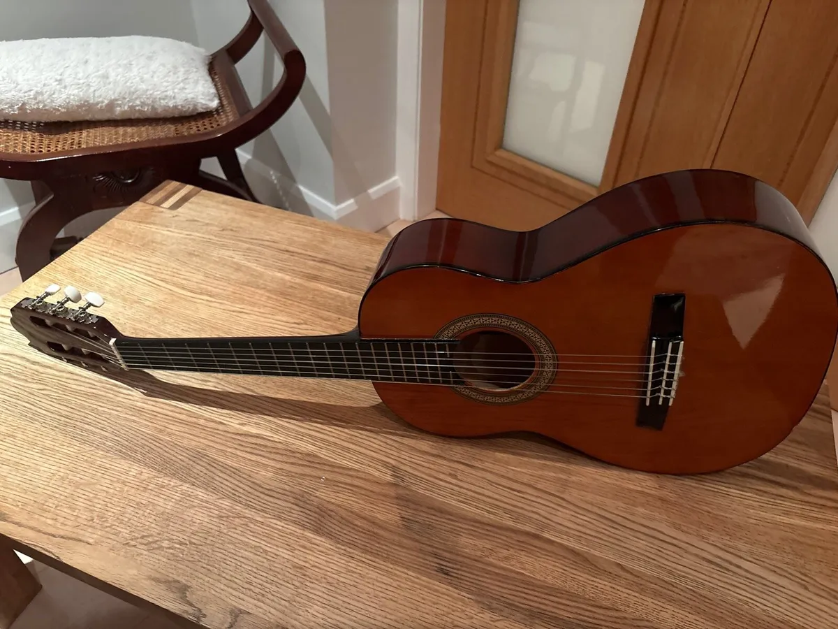 Guitar - for beginners/young person - Image 2