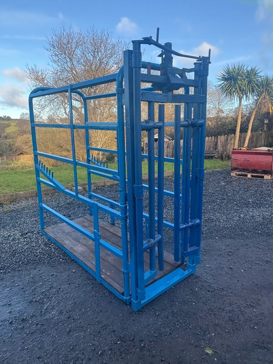 Portable Cattle Crush - Image 1