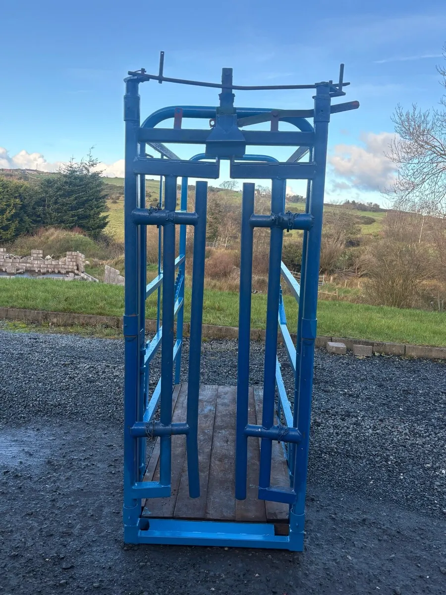 Portable Cattle Crush - Image 2