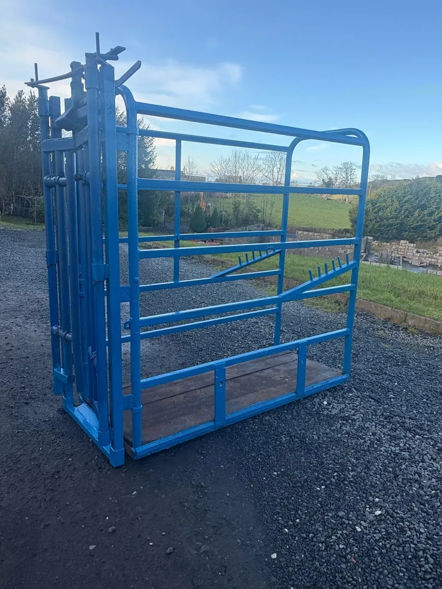 Portable Cattle Crush - Image 3