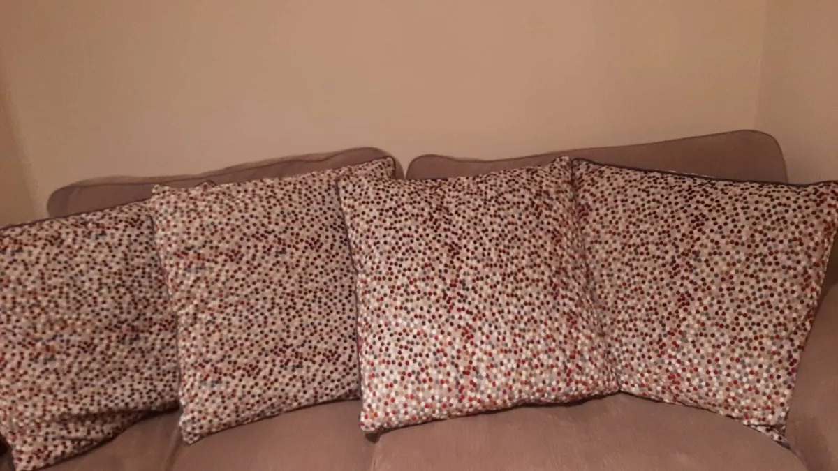 4 Cushions and 2 rugs  for sale. - Image 1