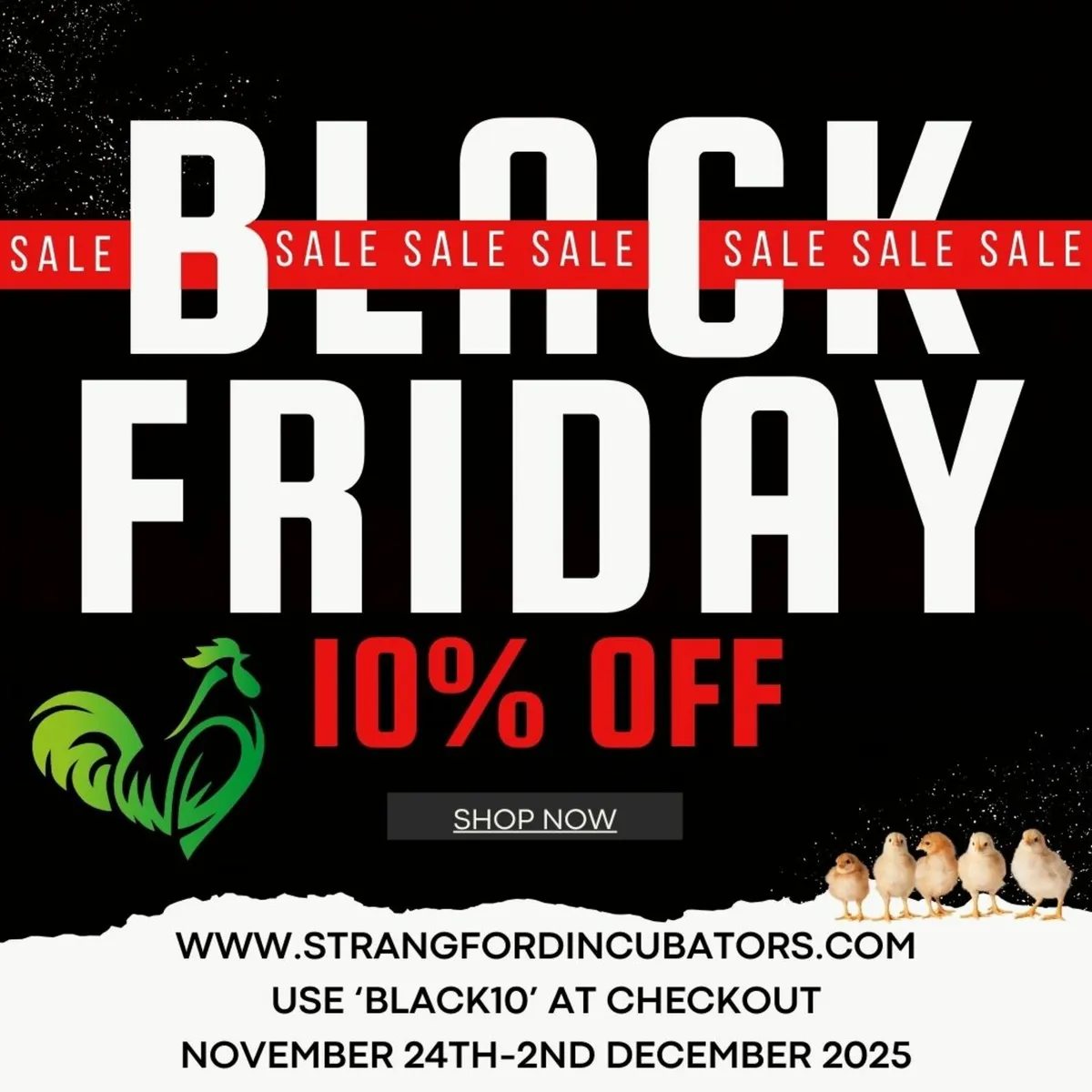 BLACK FRIDAY SALE 10% OFF SITEWIDE! - Image 1