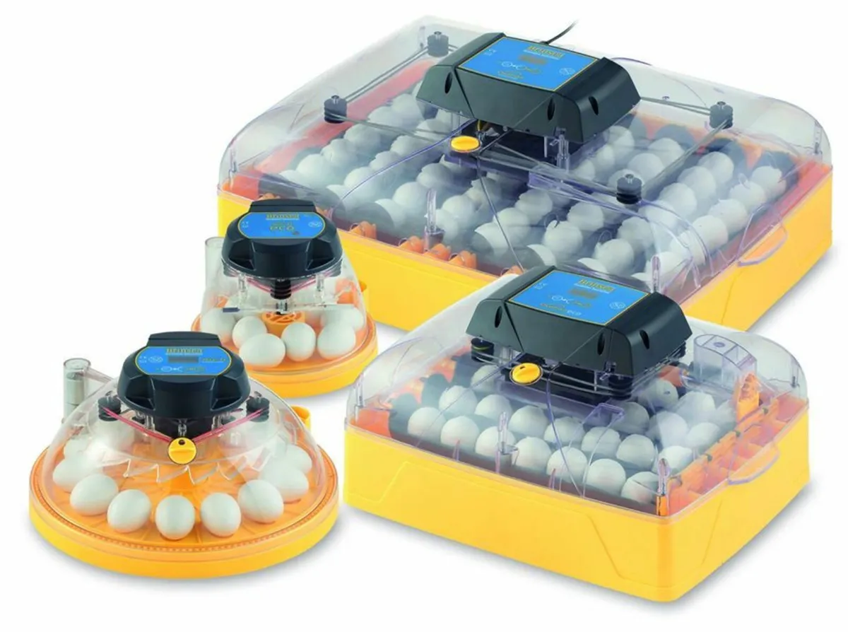 BLACK FRIDAY SALE 10% OFF SITEWIDE! - Image 2