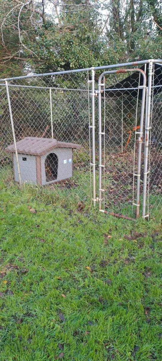 Dog pen - Image 4