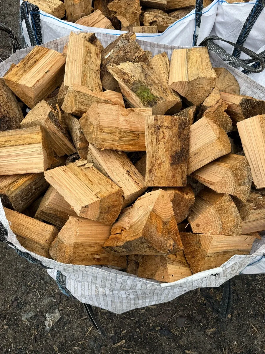 Firewood - Image 4