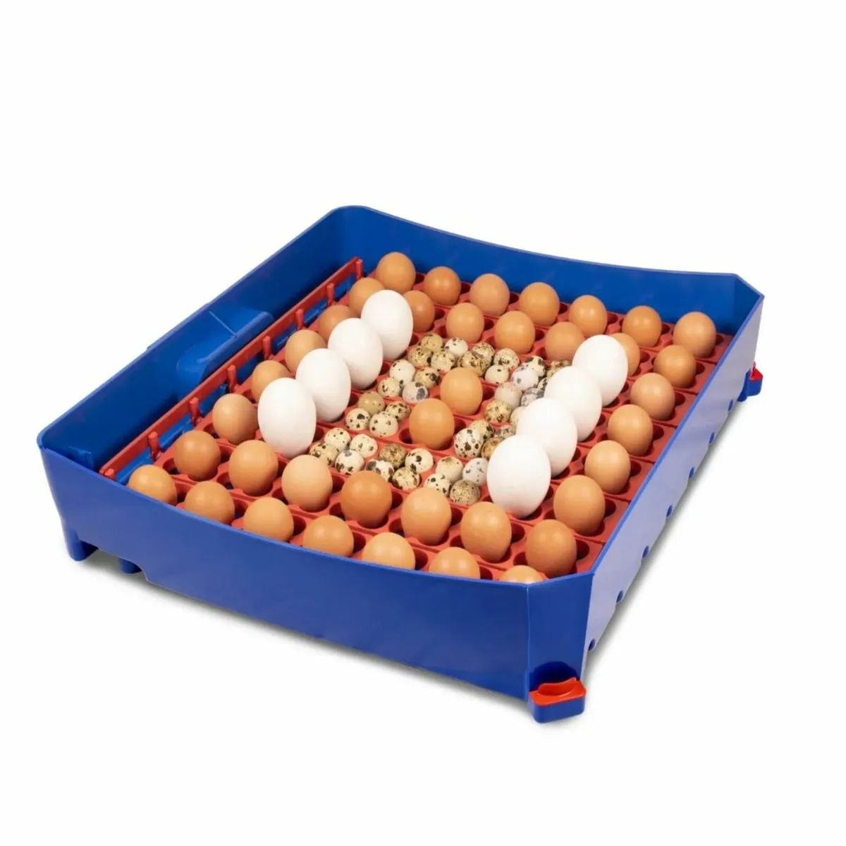 BLACK FRIDAY SALE 10% OFF SITEWIDE! - Image 3