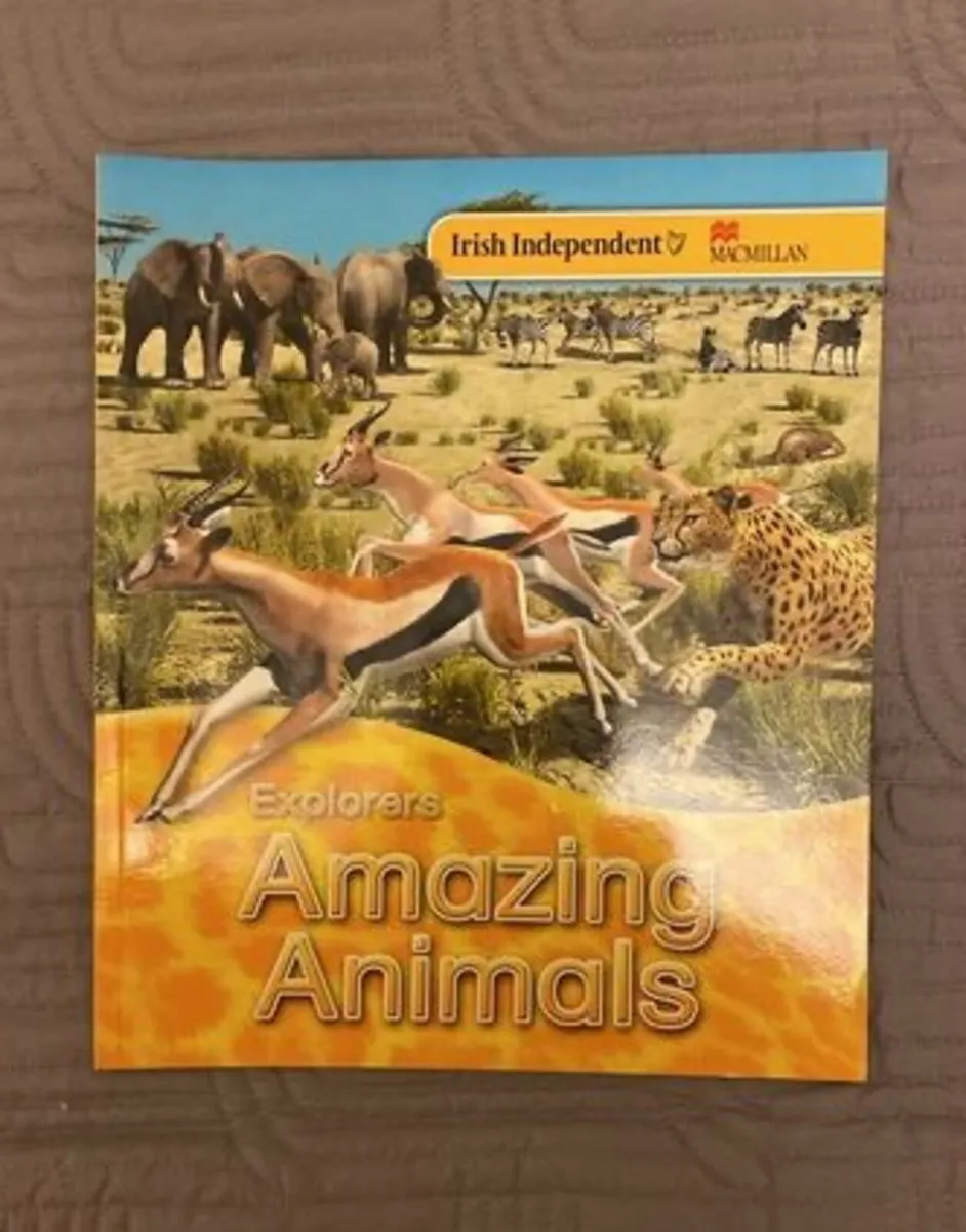 Explorers Series Books x 9 books - Image 1