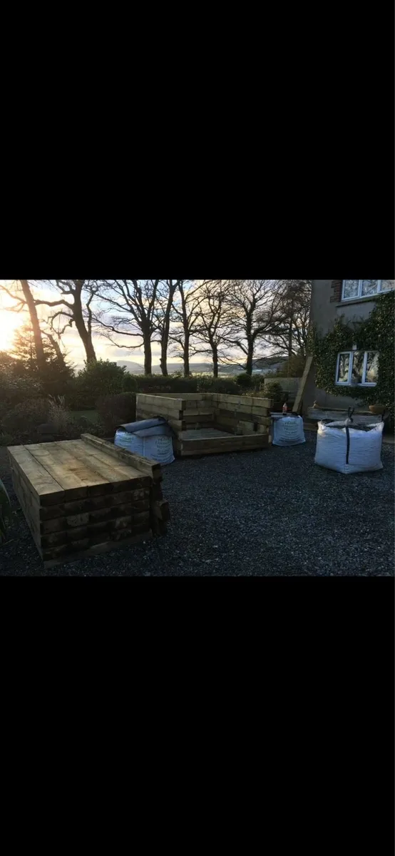 20ft sequoia giganteum tree - Image 3