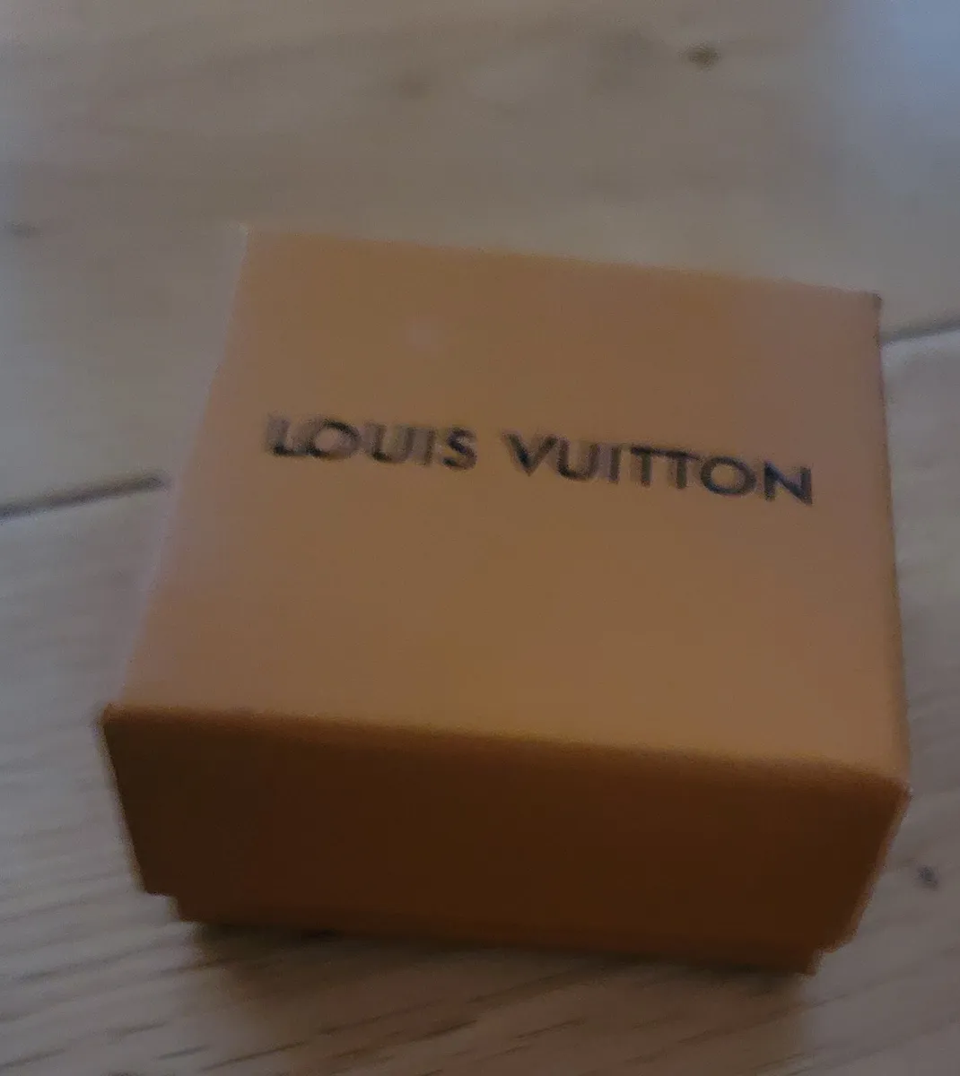 Louis Vuitton Blossom Sun Silver Tone Earrings - Image 3