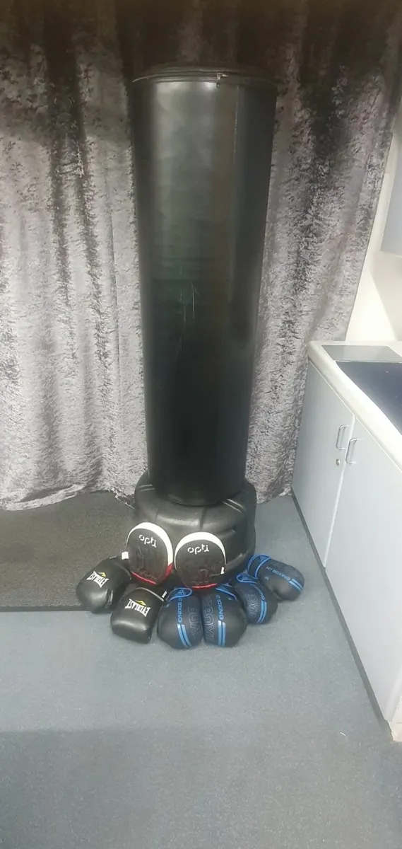 Boxing Bag - Image 2