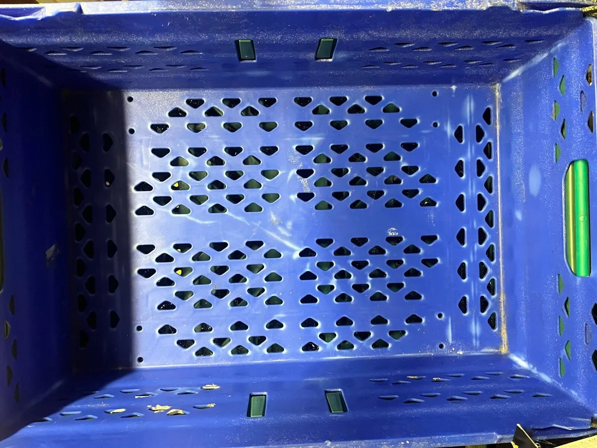 5 hard plastic boxes - Image 1