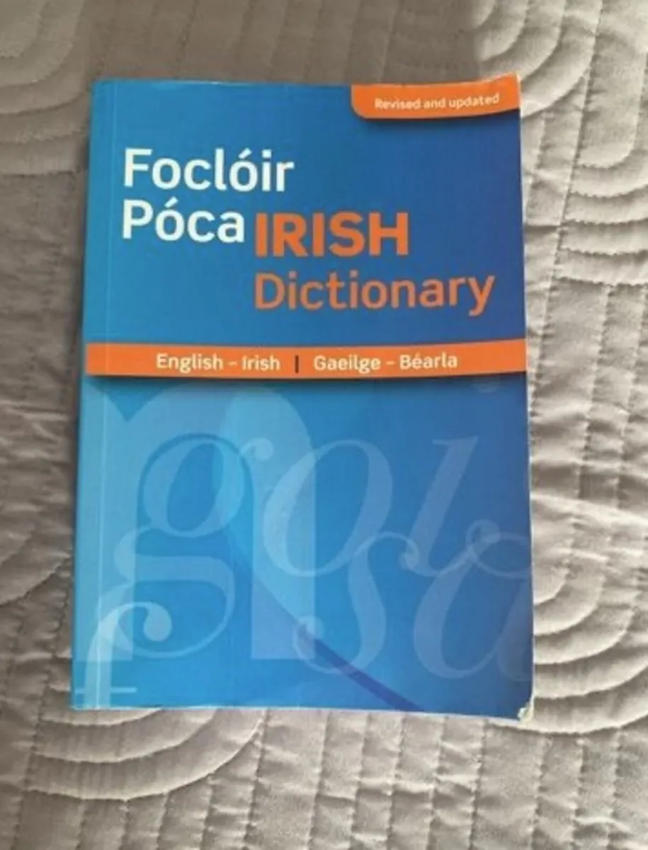 Focloir Poca/Pocket Dictionary Irish-English - Image 1