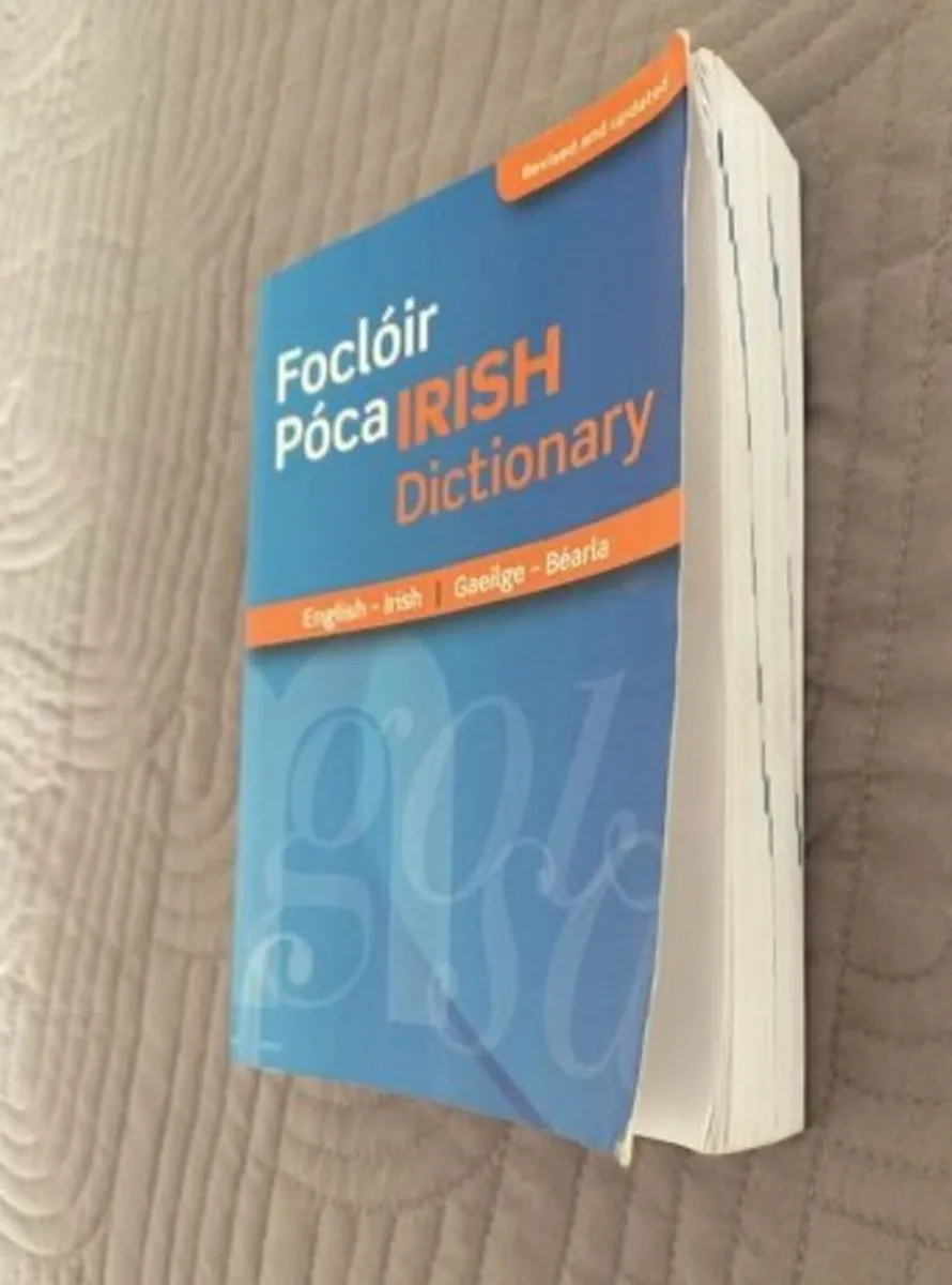 Focloir Poca/Pocket Dictionary Irish-English - Image 2