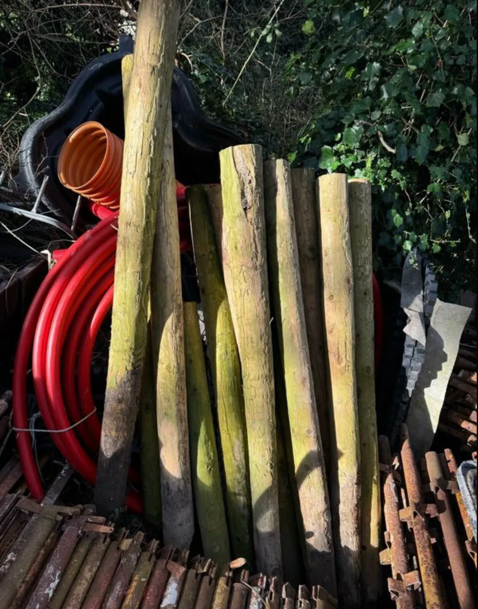 Heavy Duty Treated Wooden Stakes 5-6" wide - Image 1