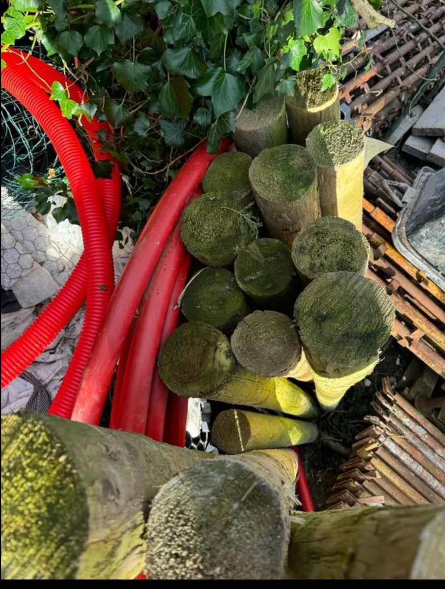 Heavy Duty Treated Wooden Stakes 5-6" wide - Image 2