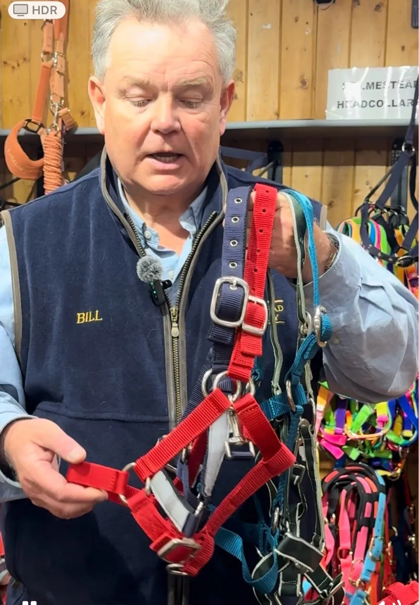 10 PONY / YEARLING HEADCOLLARS €25 HOLMESTEAD - Image 1