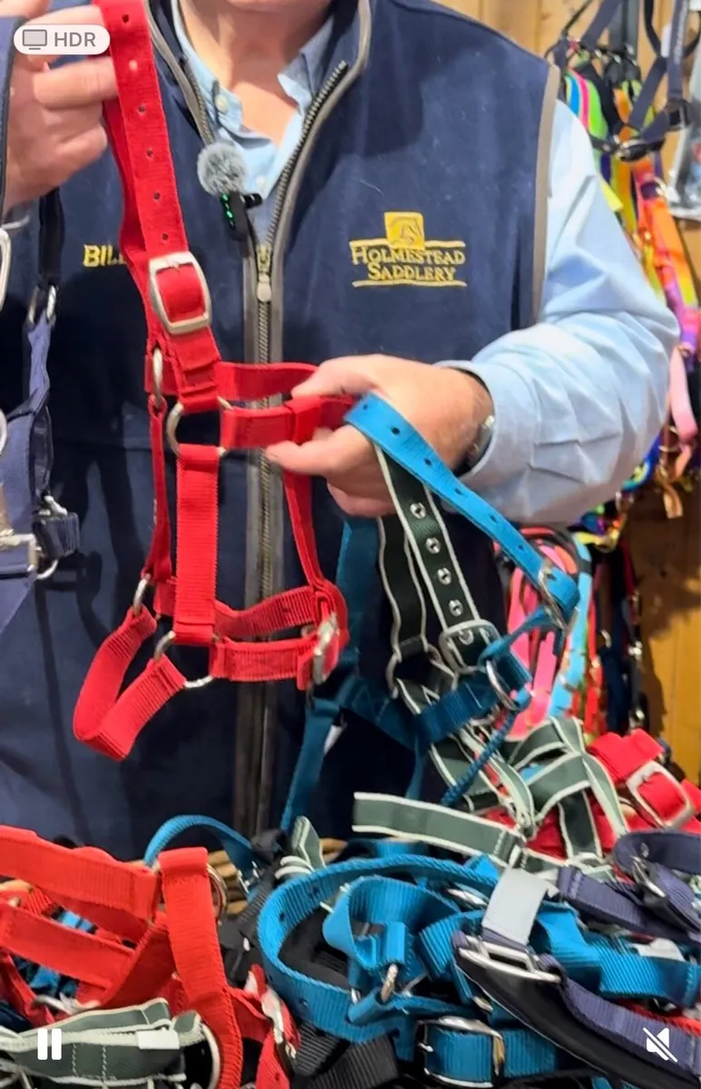 10 PONY / YEARLING HEADCOLLARS €25 HOLMESTEAD - Image 2