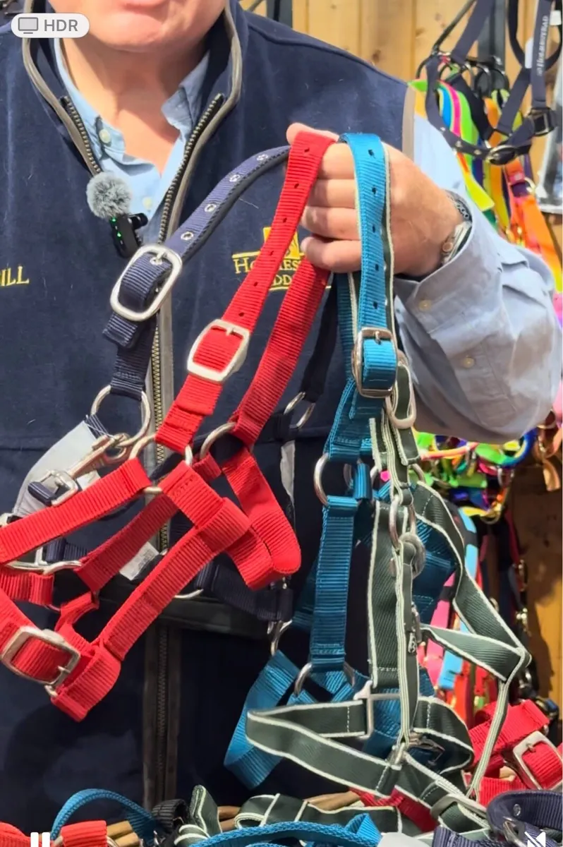 10 PONY / YEARLING HEADCOLLARS €25 HOLMESTEAD - Image 3