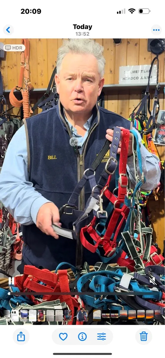 10 PONY / YEARLING HEADCOLLARS €25 HOLMESTEAD - Image 4