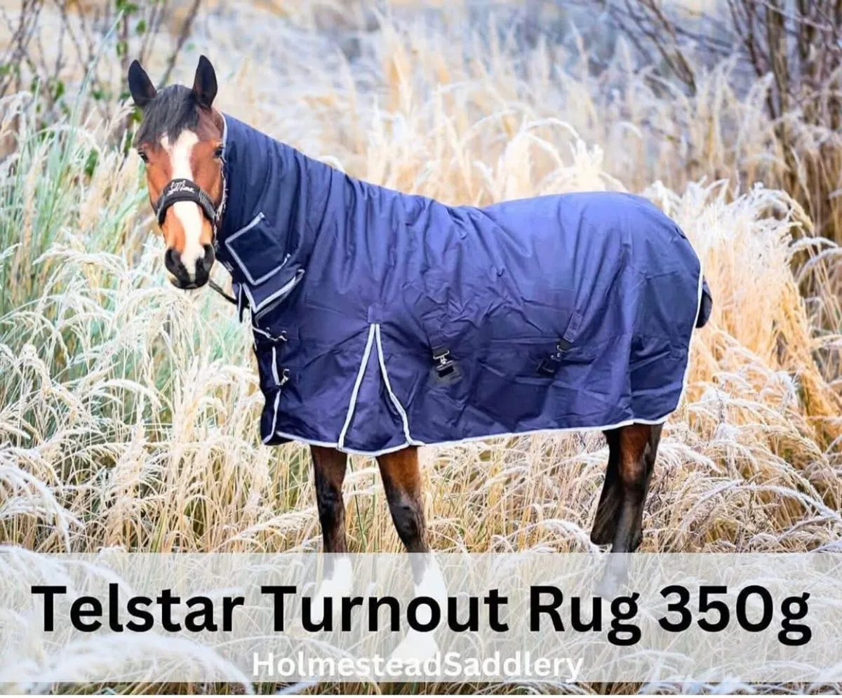 350gm TURNOUT WITH NECK 1200 d Telstar €79.99