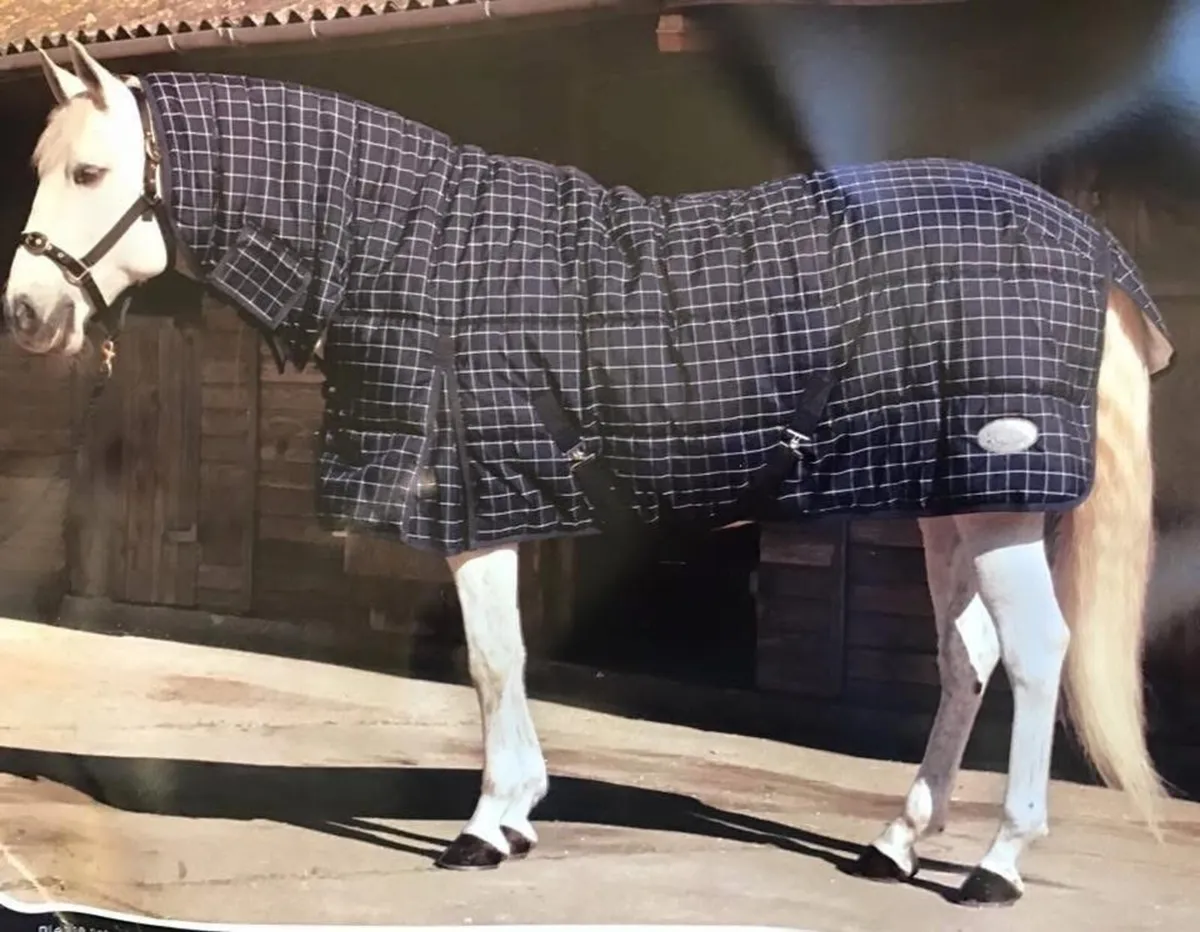 Stable RUG WITH NECK SAVE €25 @ HOLMESTEAD