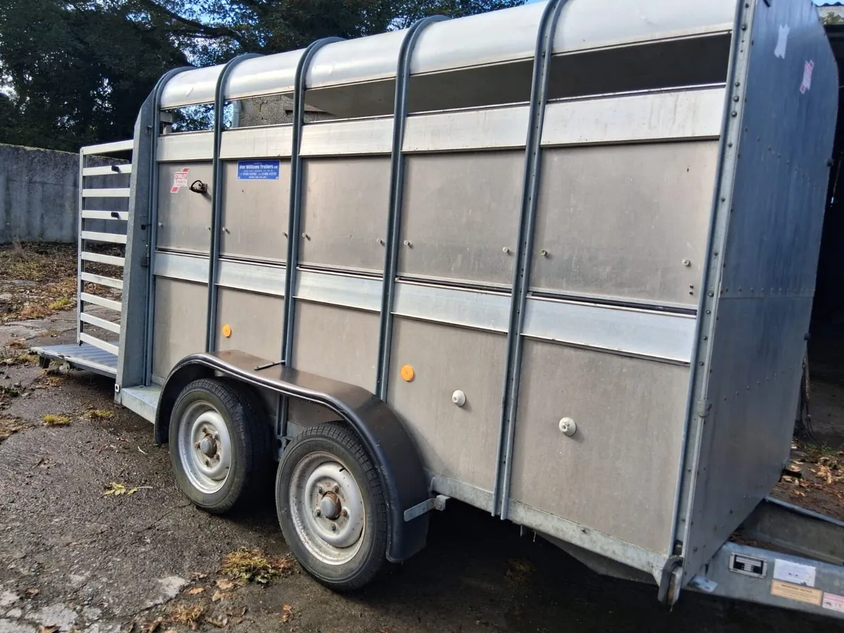 Ifor Williams Cattle Trailer - Image 1