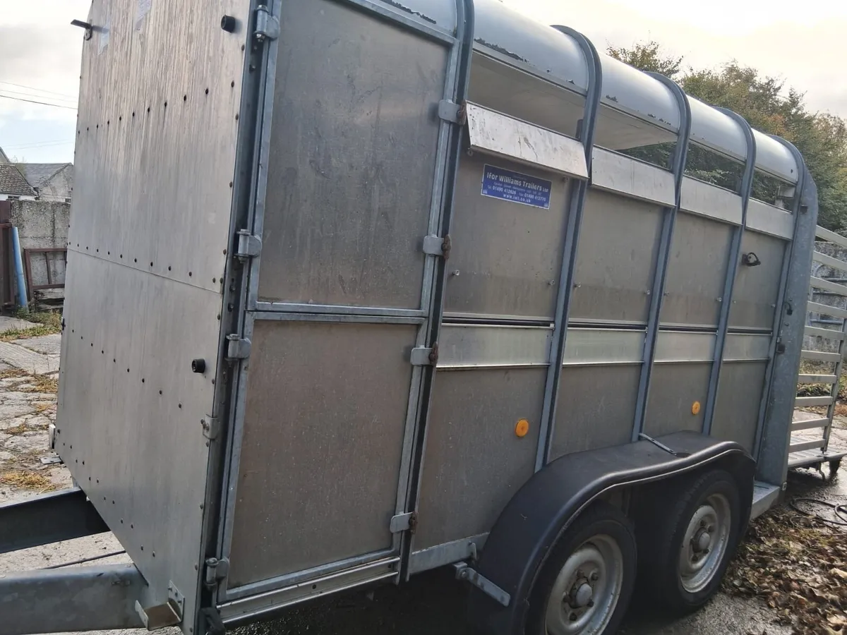 Ifor Williams Cattle Trailer - Image 2