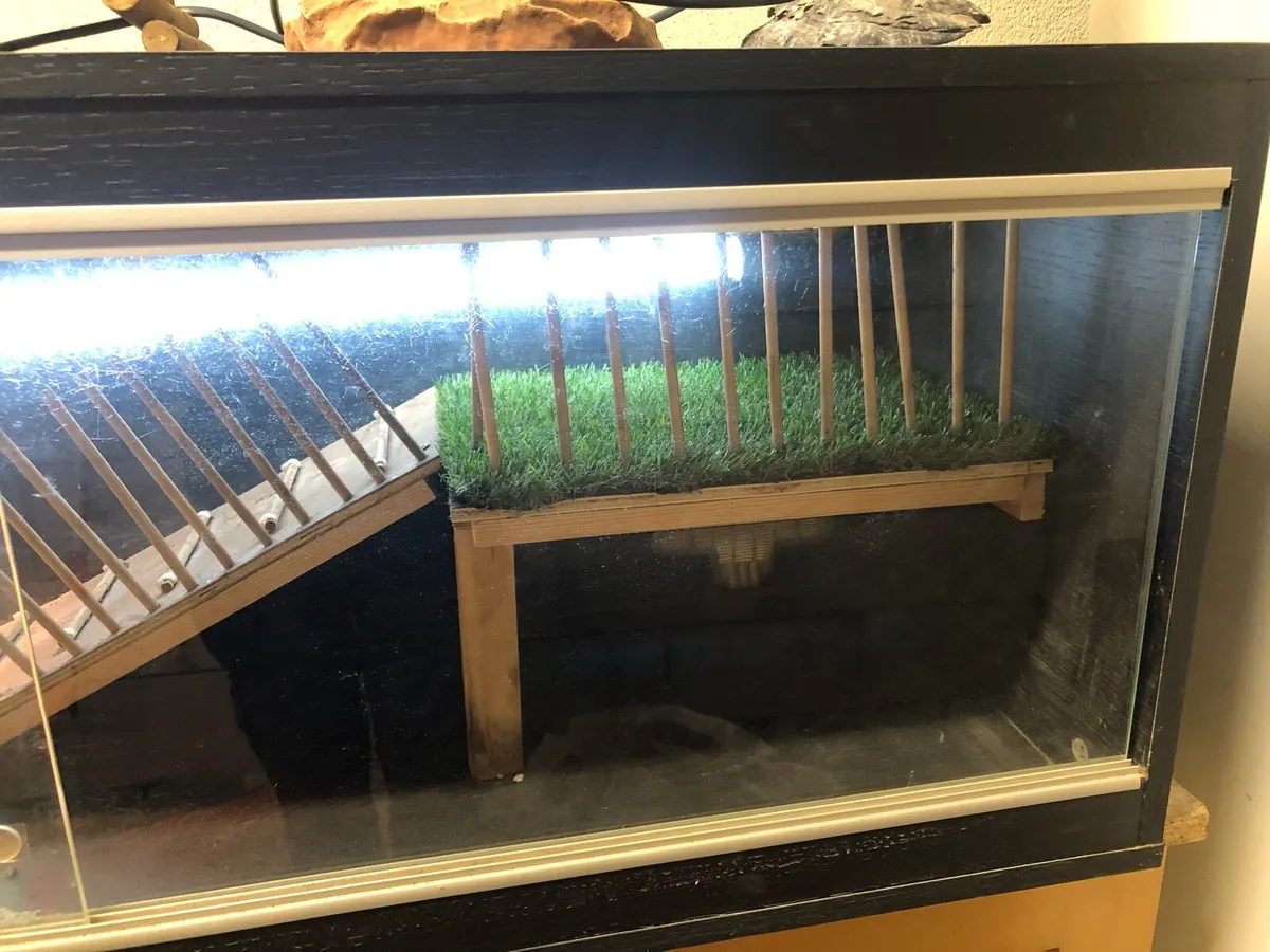 Reptile tank - Image 3