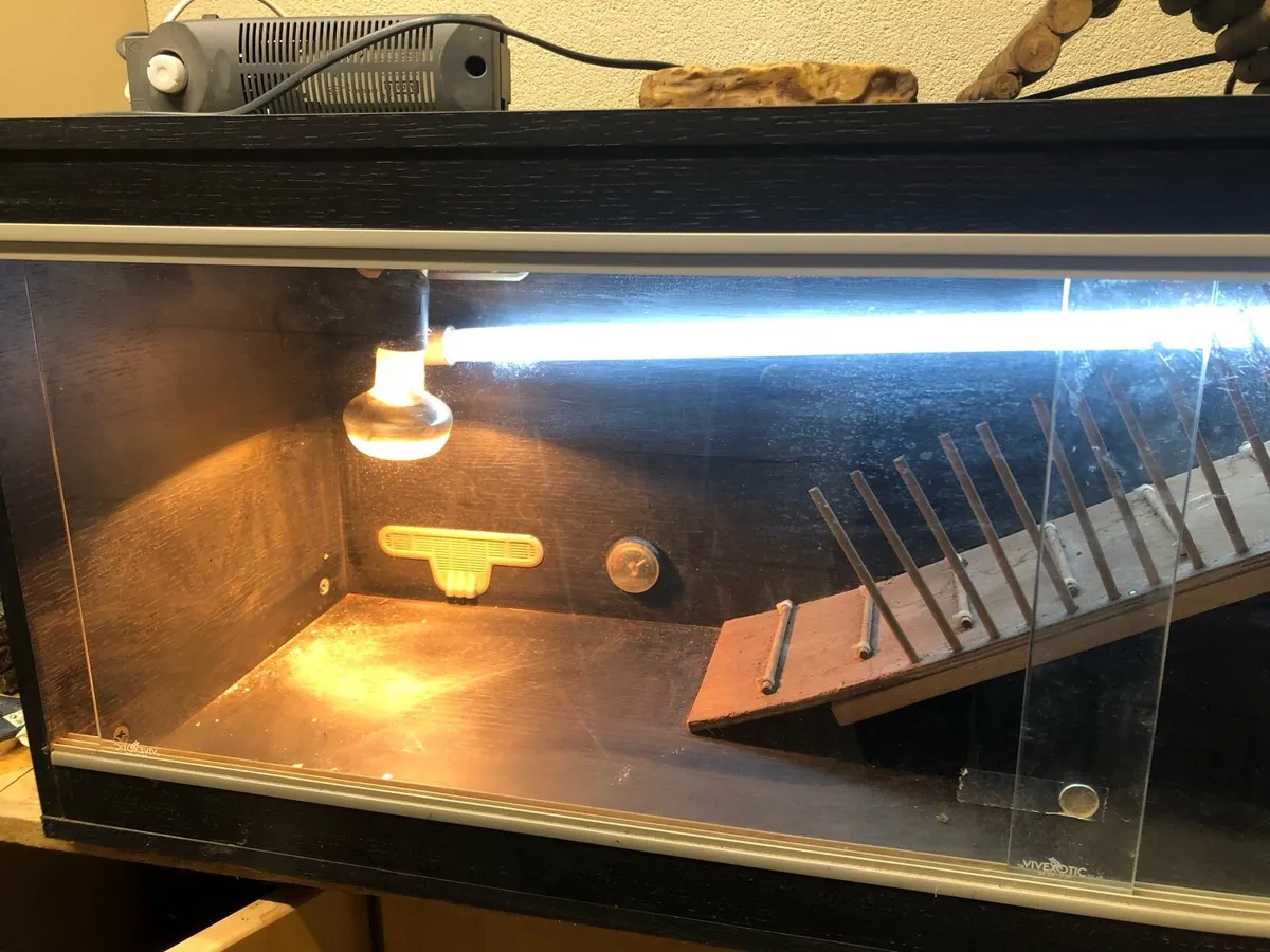 Reptile tank - Image 4