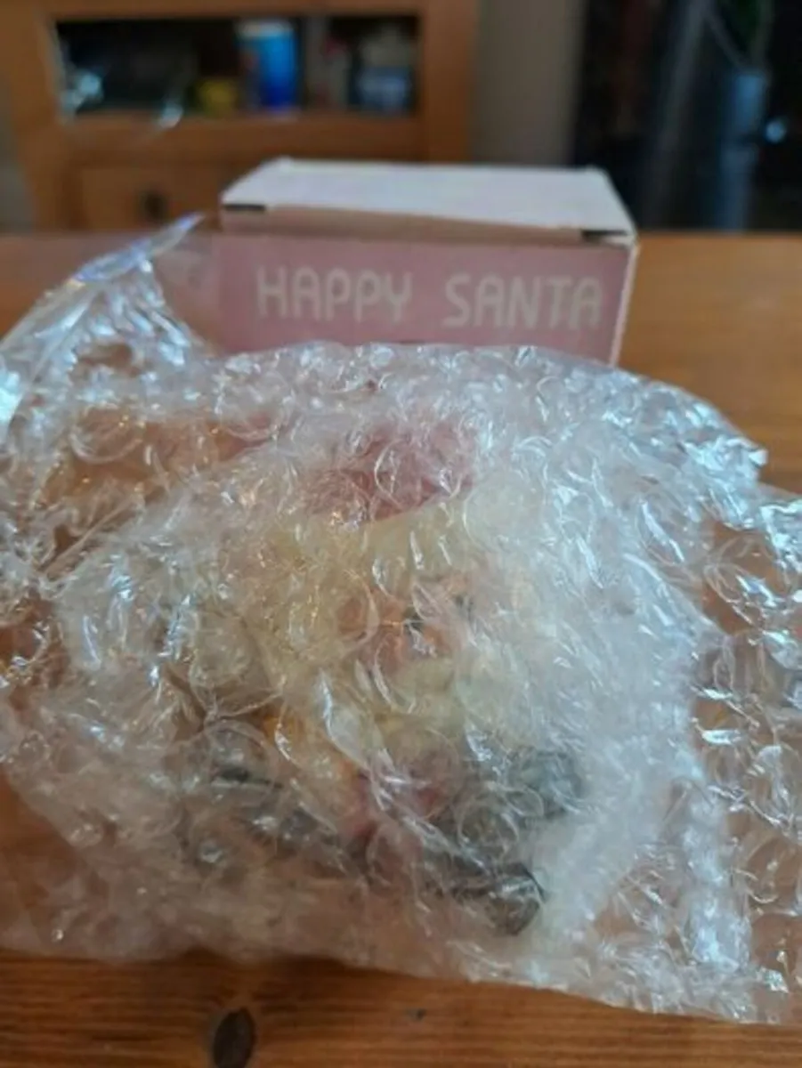 The Leonardo Collection Christmas Ornament - Image 3