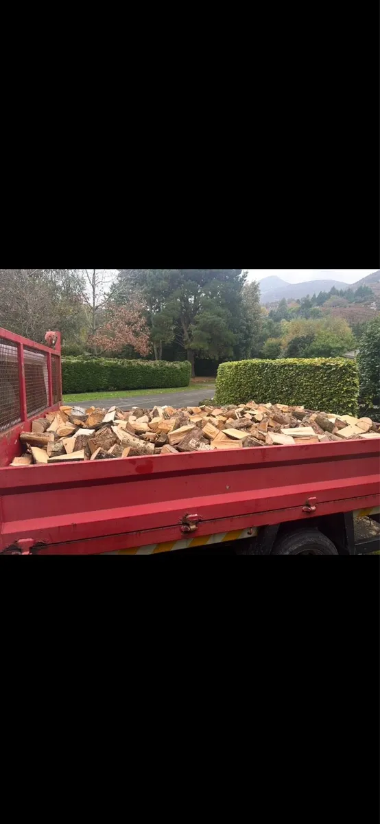 Seasoned Hardwood Logs - Image 4